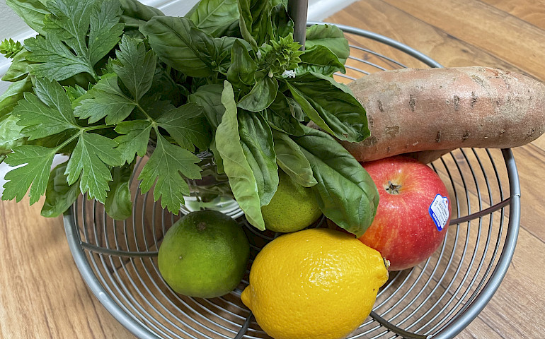 Adopting a Plant-Based Lifestyle