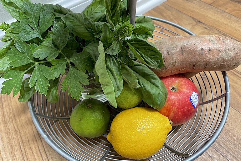 Adopting a Plant-Based Lifestyle